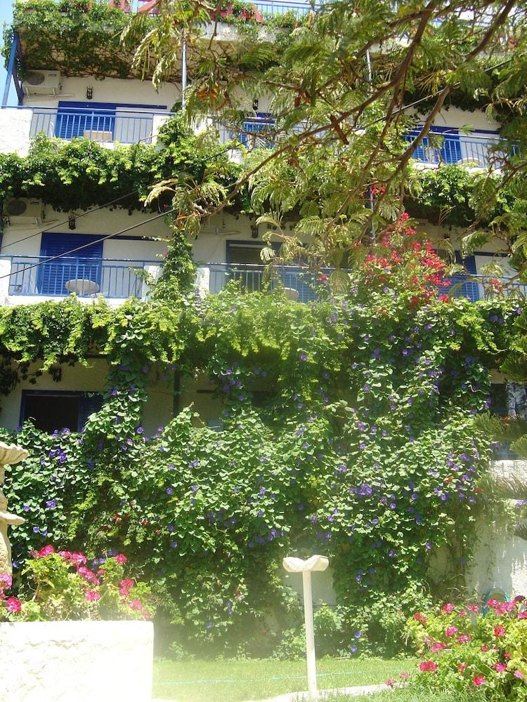 Aparthotel Amazona Agia Pelagia  Esterno foto